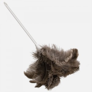 Oates feather duster (large)