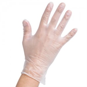 Vinyl Gloves Powder Free (Large) Pkt/100 - clear